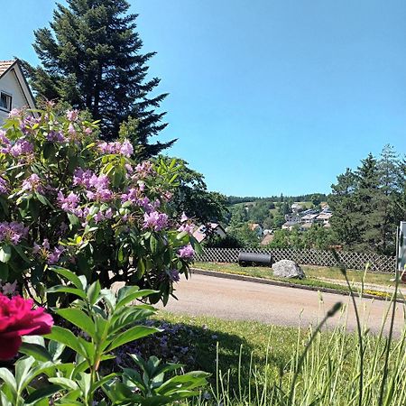Ferienwohnung Brigachglueck Sankt Georgen im Schwarzwald Εξωτερικό φωτογραφία