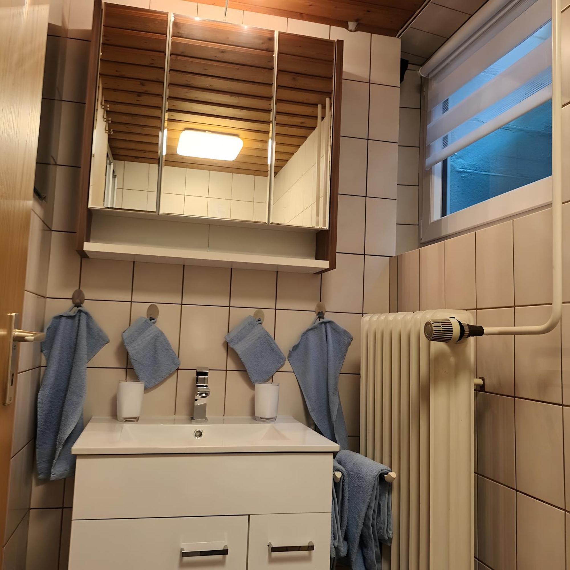 Ferienwohnung Brigachglueck Sankt Georgen im Schwarzwald Εξωτερικό φωτογραφία