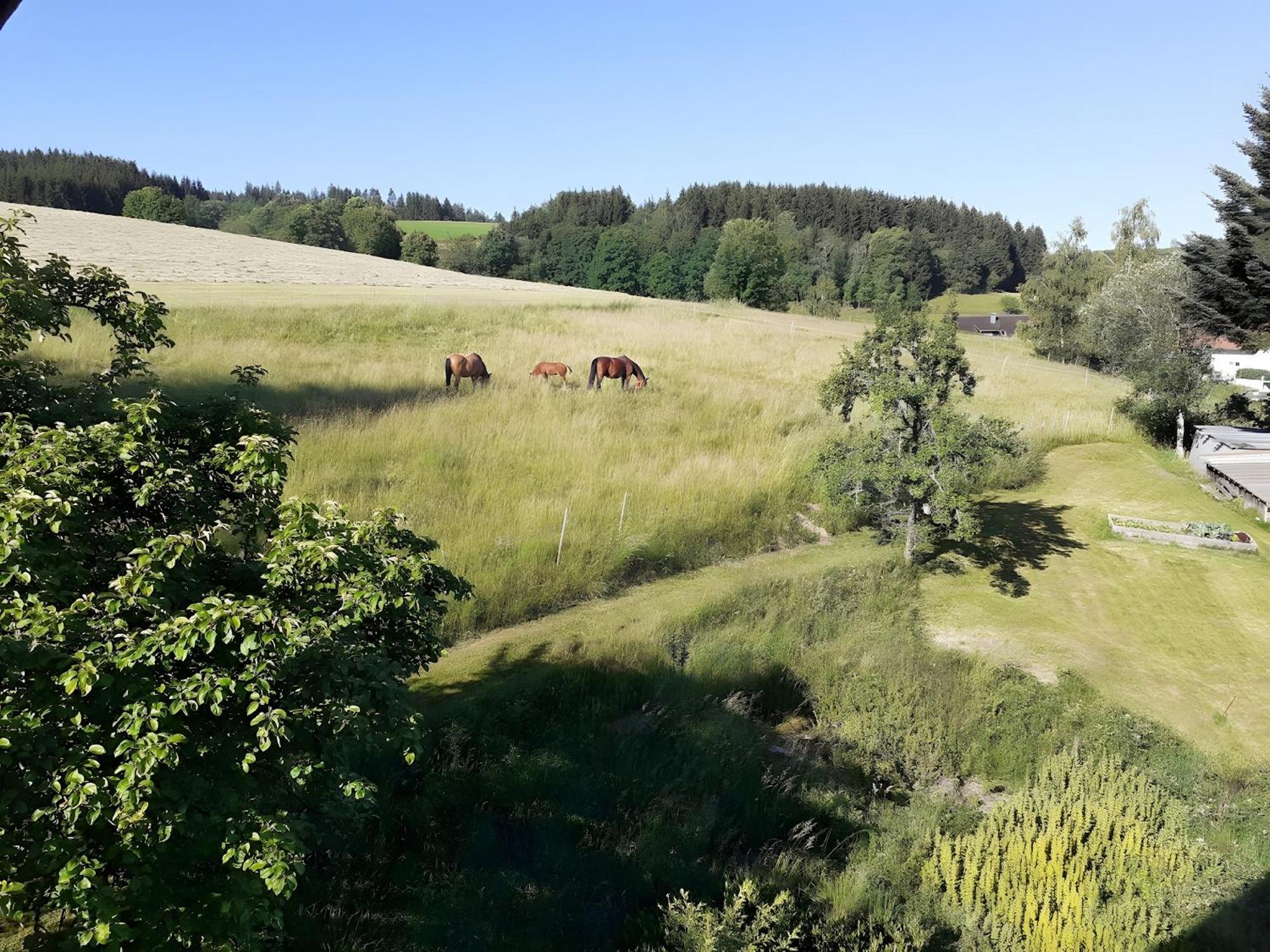 Ferienwohnung Brigachglueck Sankt Georgen im Schwarzwald Εξωτερικό φωτογραφία